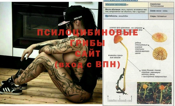 COCAINE Абаза